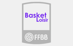 BASKET LOISIRS