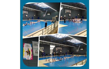 Remise du Label 3 étoiles Ecole Française de Mini Basket