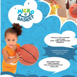 Le Micro basket