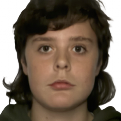 Brice