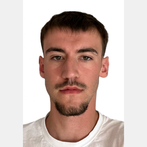 Theo Merlet